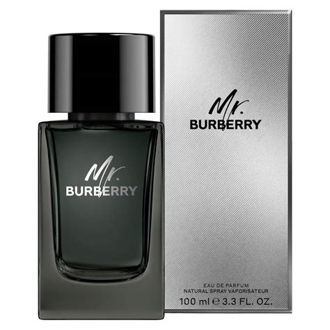 buy mr burberry|burberry mr burberry fragrantica.